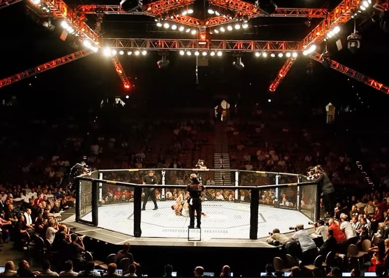 UFC Octagon