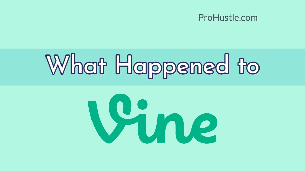 Vine Article